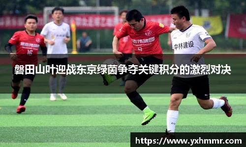 磐田山叶迎战东京绿茵争夺关键积分的激烈对决